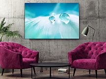 Obraz Vtáčie pierko s kvapkou vody 1474